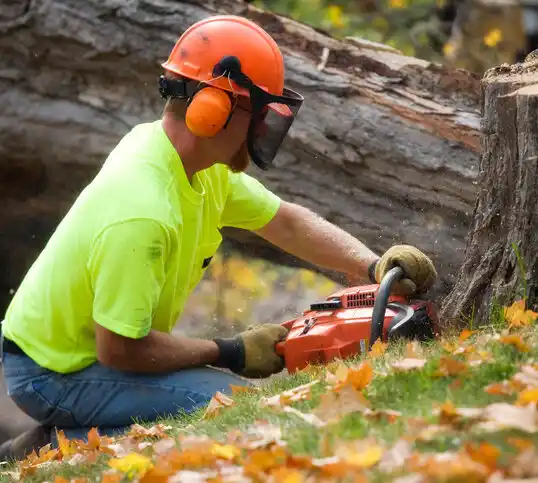 tree services Westbury